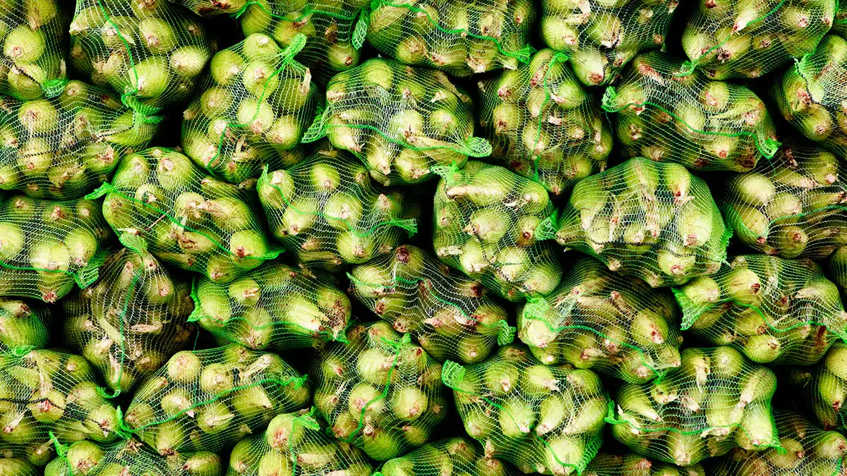 crises agroalimentaires