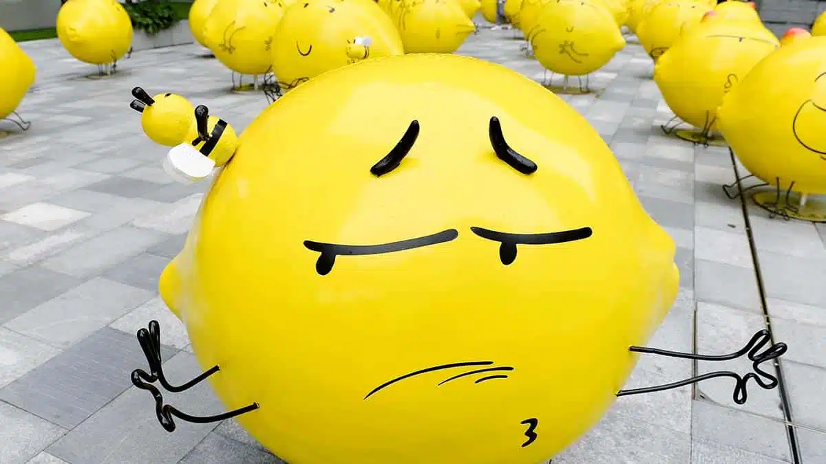 emotions communication de crise