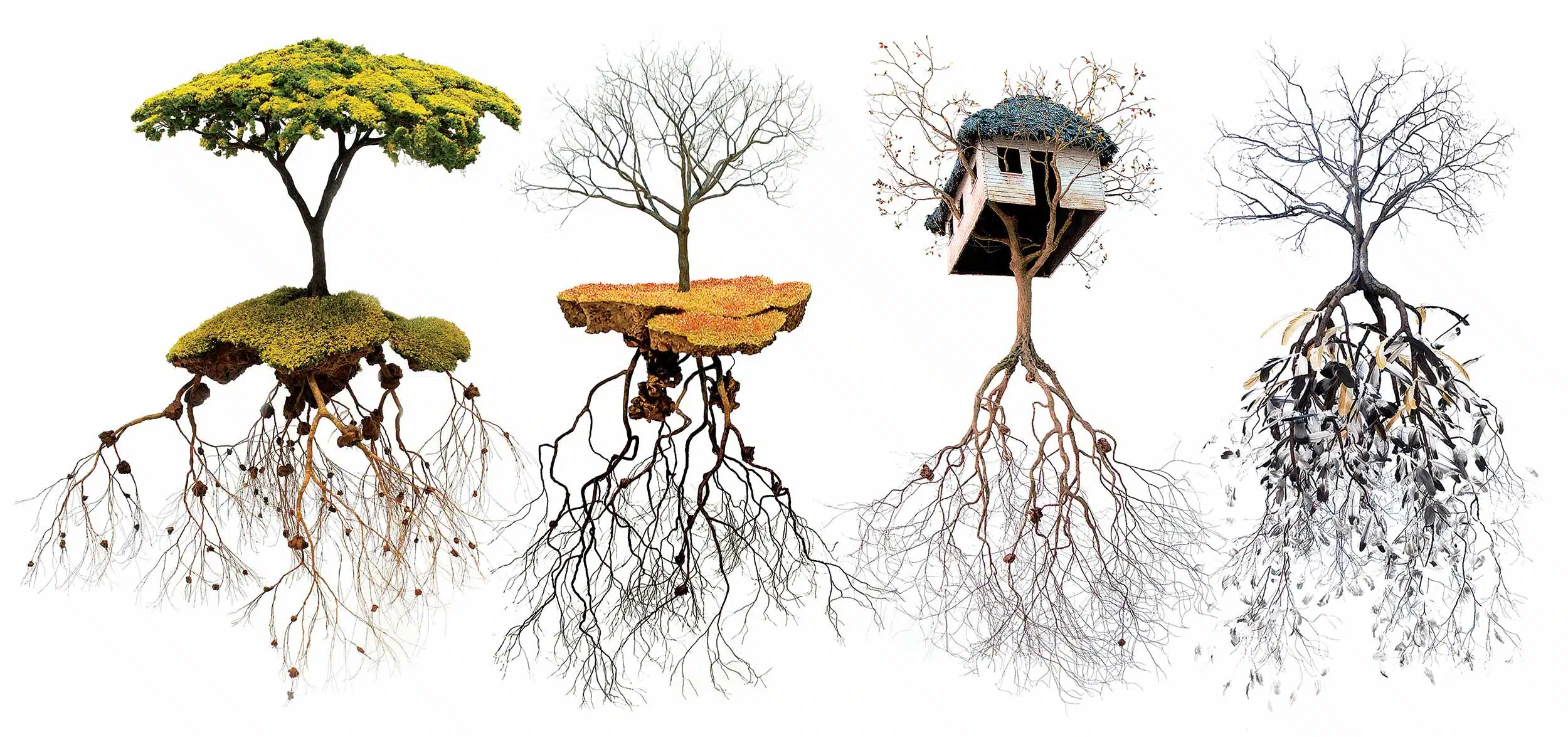 risques naturels
