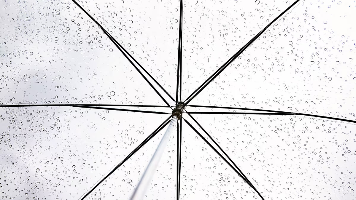 parapluie