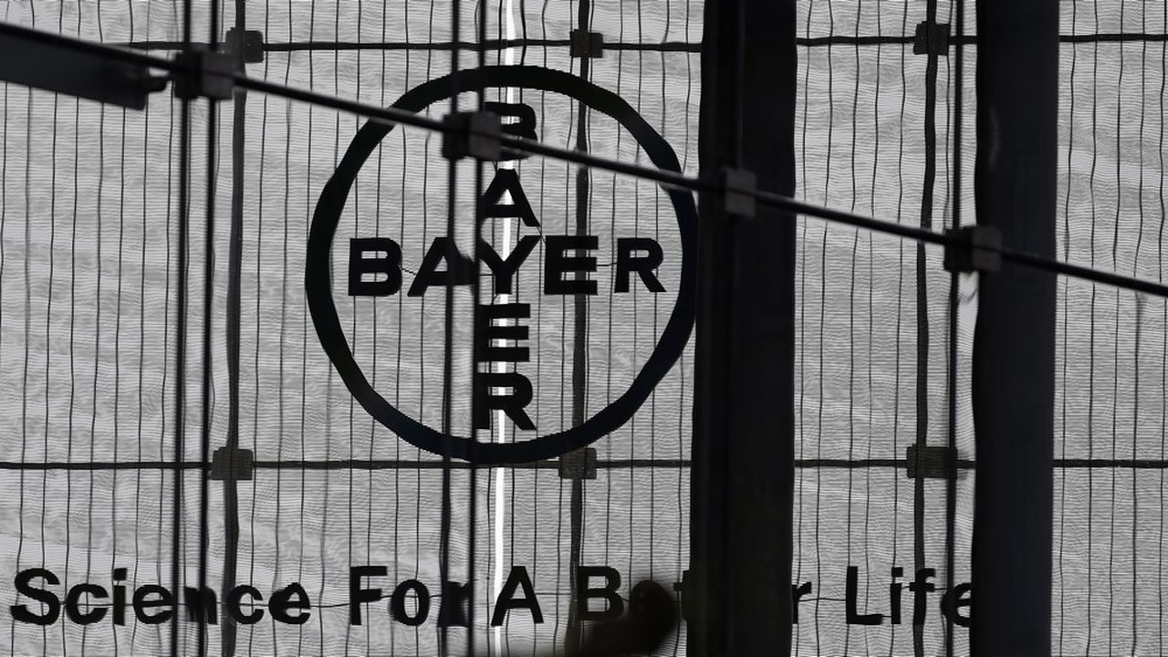 bayer